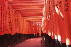 color del año 2019 - Fushimi Inari