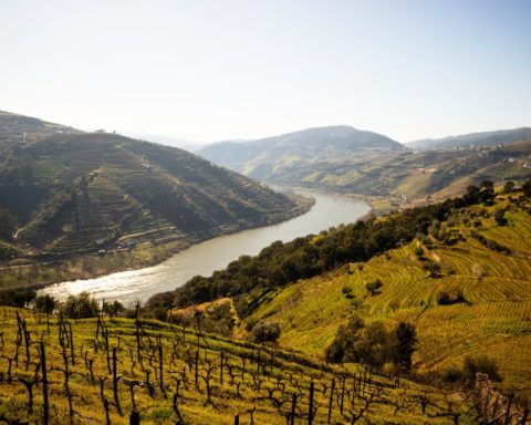 Portugal - Qué ver en el Valle del Douro