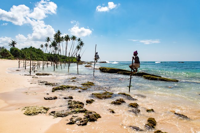 Pescadores zancudos de Sri Lanka