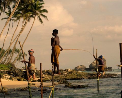 Pescadores zancudos de Sri Lanka3