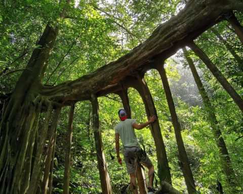 Parque natural de Monteverde