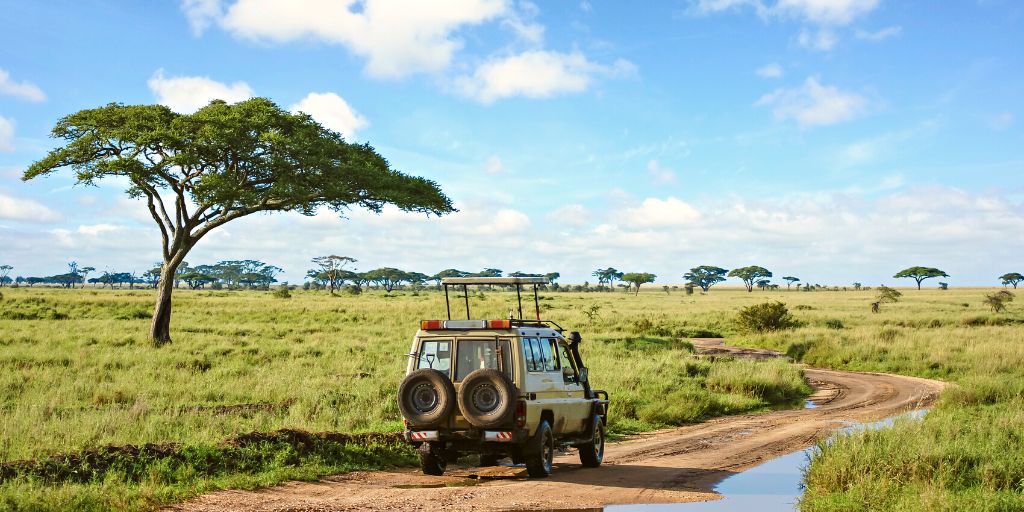 Safari en el Parque Amboseli