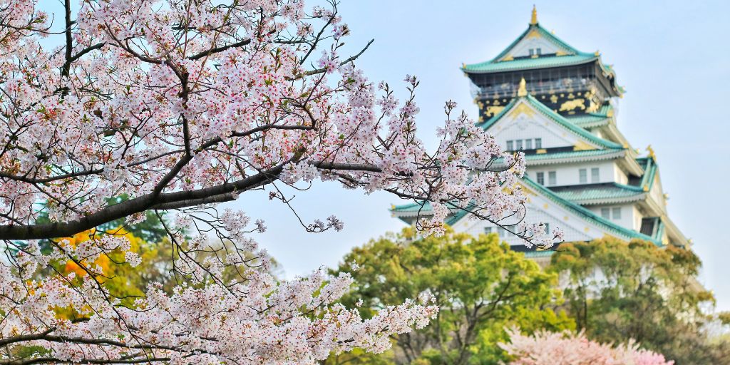 Castillo de Osaka con los cerezos en flor.
