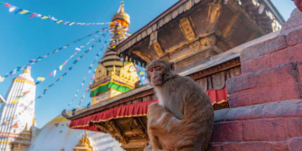 Swayambhunath, también conocido como el Templo de los Monos