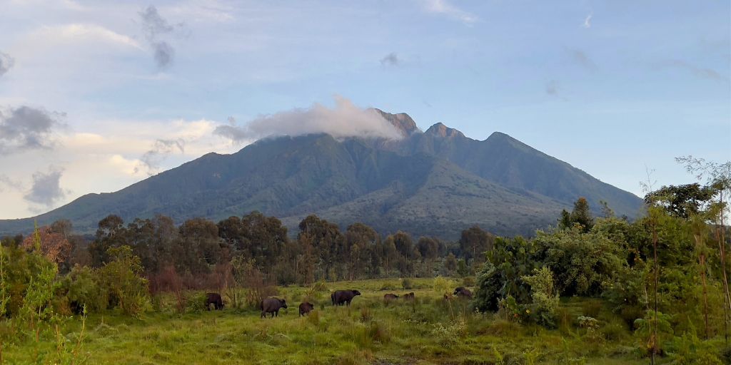 Parque Nacional de los Volcanes, en Ruanda