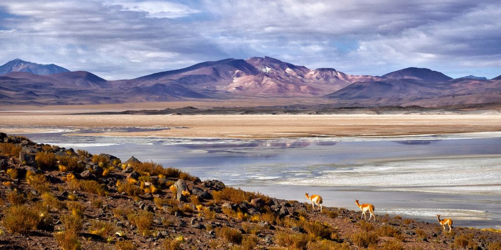 El Desierto de Atacama es uno de los desiertos no polares más extensos del mundo