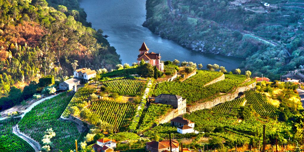 El valle del Douro destaca por sus hermosos paisajes de viñedos